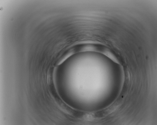 X0000062910080200601201947