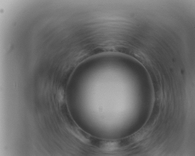 X0000062910081200601201947