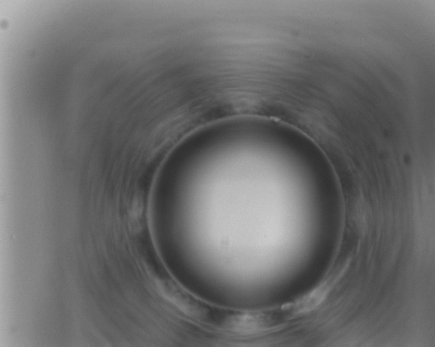 X0000062910082200601201947