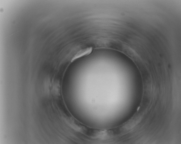 X0000062910083200601201947