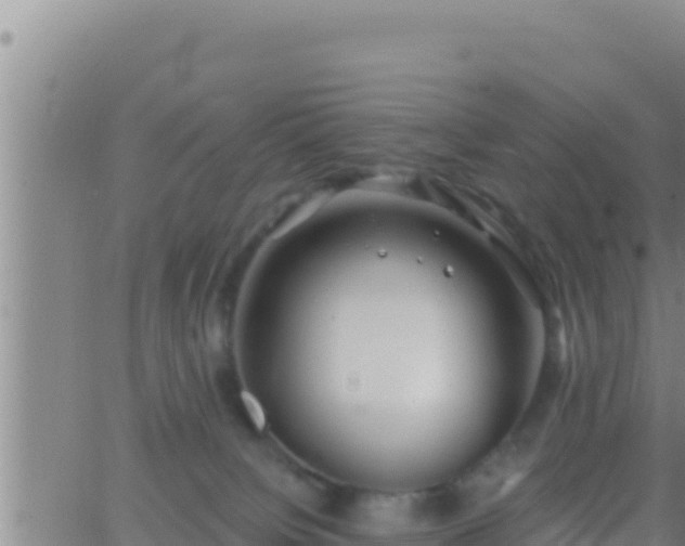 X0000062910084200601201947