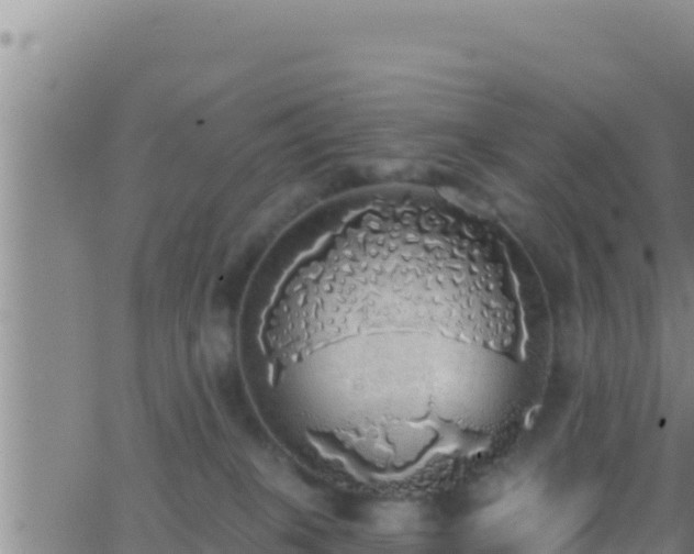 X0000062910085200601201947