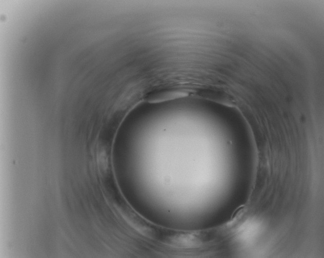 X0000062910086200601201947