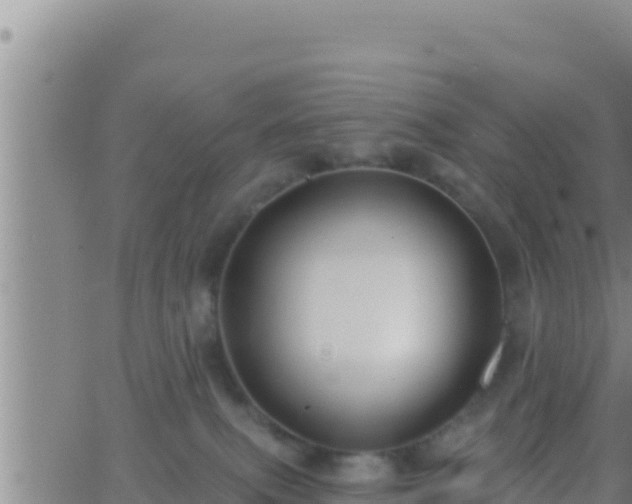 X0000062910087200601201947