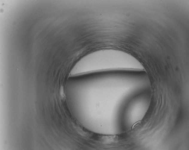 X0000062910089200601201947