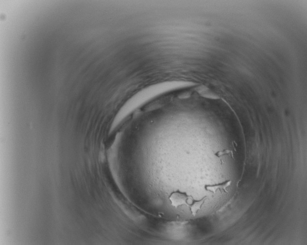 X0000062910090200601201947