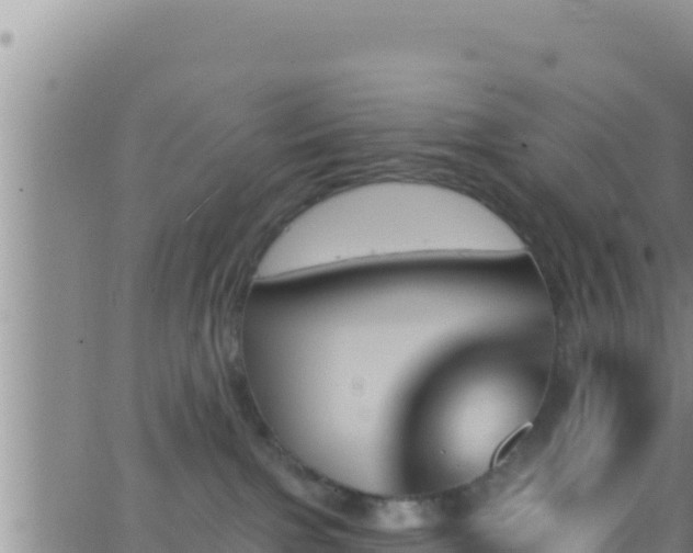 X0000062910091200601201947