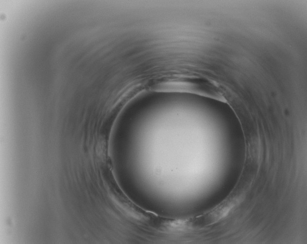 X0000062910092200601201947