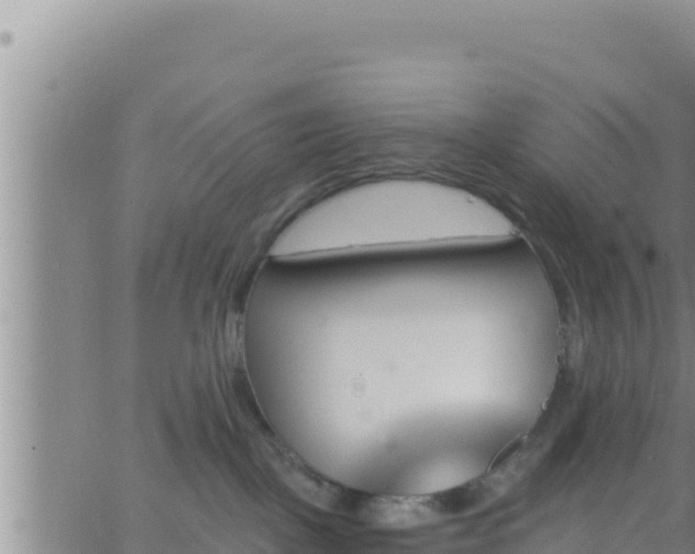 X0000062910093200601201947