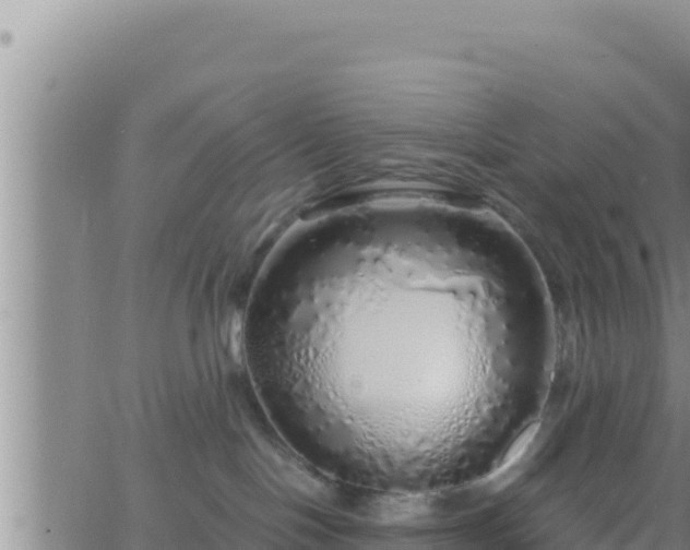 X0000062910094200601201947