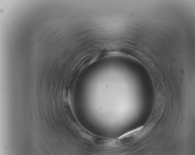 X0000062910096200601201947