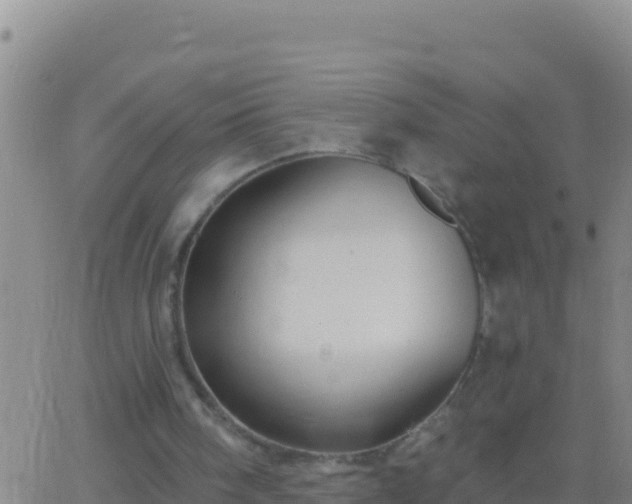 X0000062910098200601201946