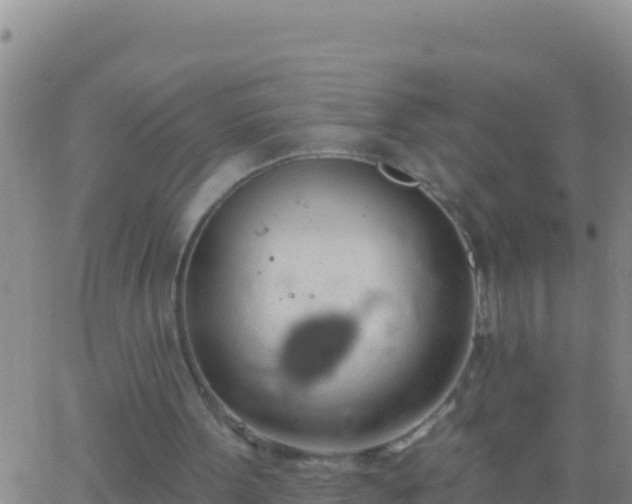 X0000062910099200601201946