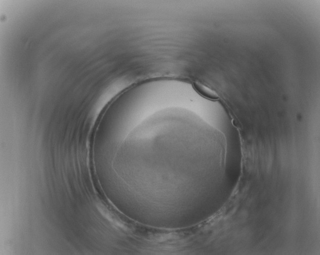 X0000062910100200601201946