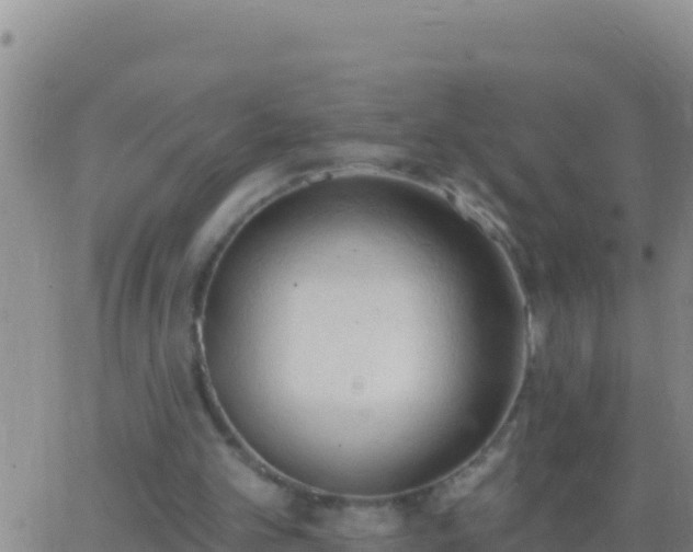 X0000062910101200601201946