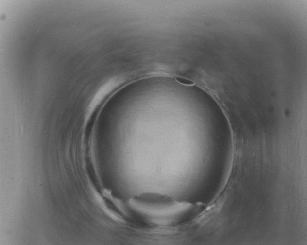 X0000062910102200601201946