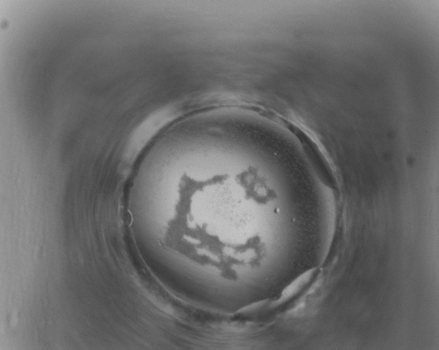 X0000062910103200601201946