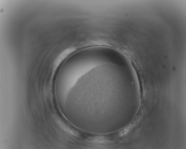 X0000062910104200601201946