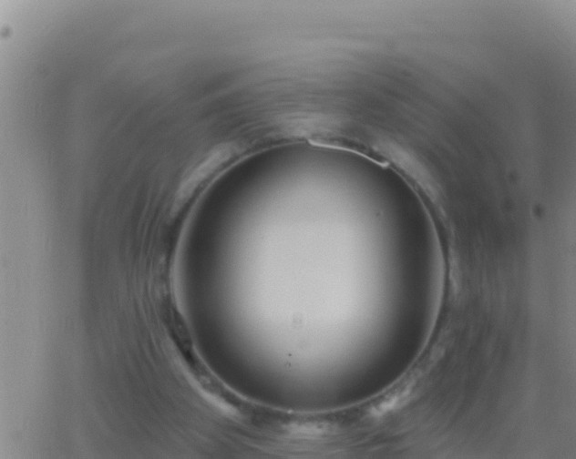 X0000062910105200601201946