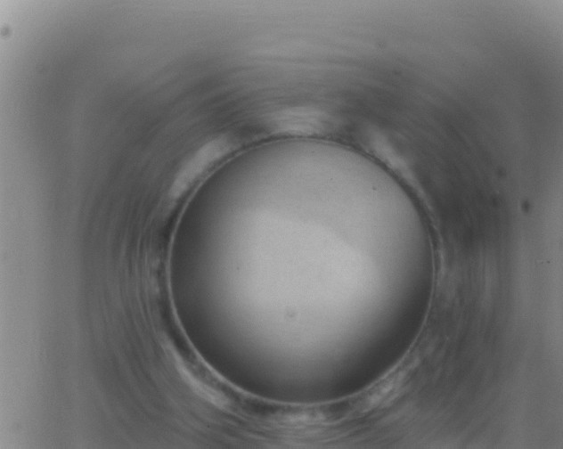 X0000062910106200601201946