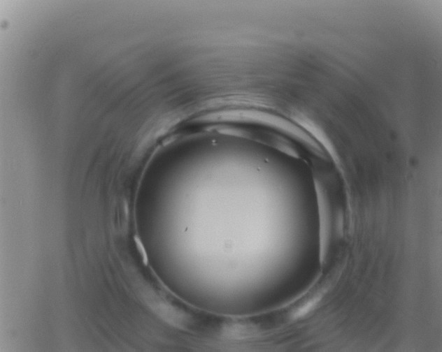 X0000062910109200601201946