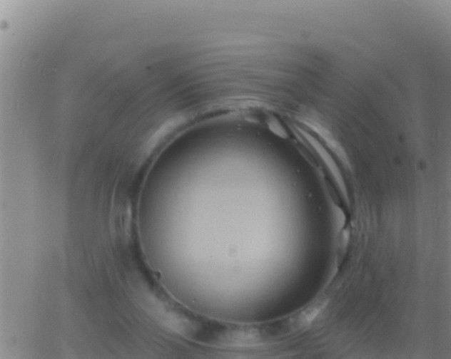 X0000062910110200601201946