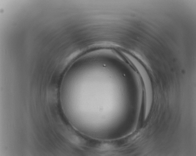 X0000062910111200601201946