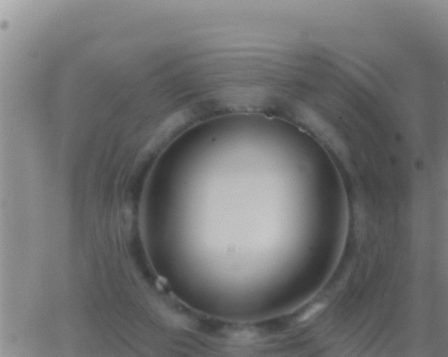 X0000062910113200601201946