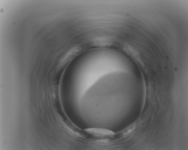 X0000062910114200601201946