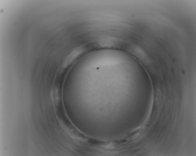 X0000062910116200601201946