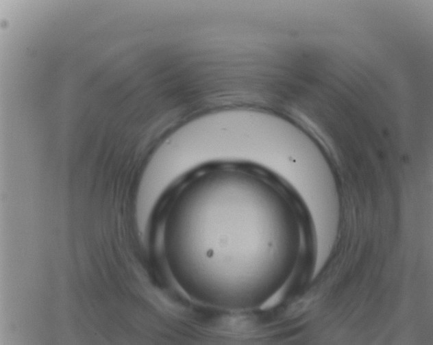 X0000062910117200601201946