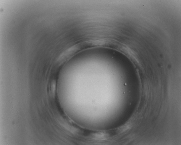 X0000062910118200601201946