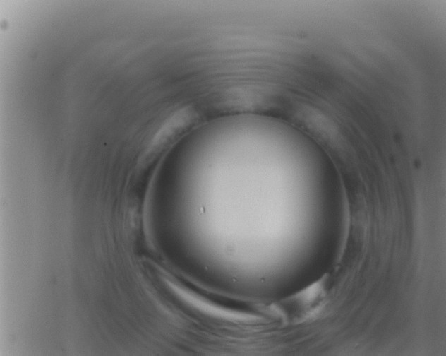 X0000062910119200601201946