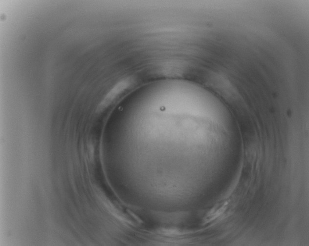 X0000062910120200601201946