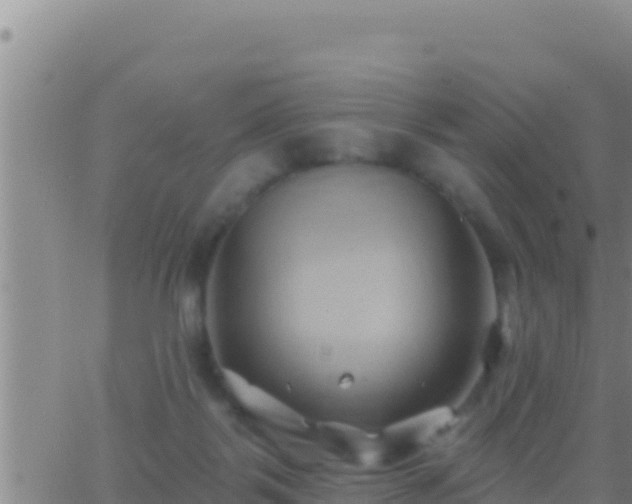 X0000062910123200601201946