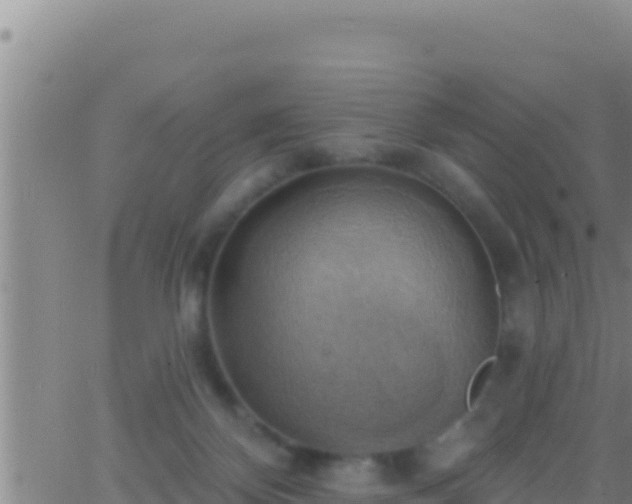 X0000062910124200601201946