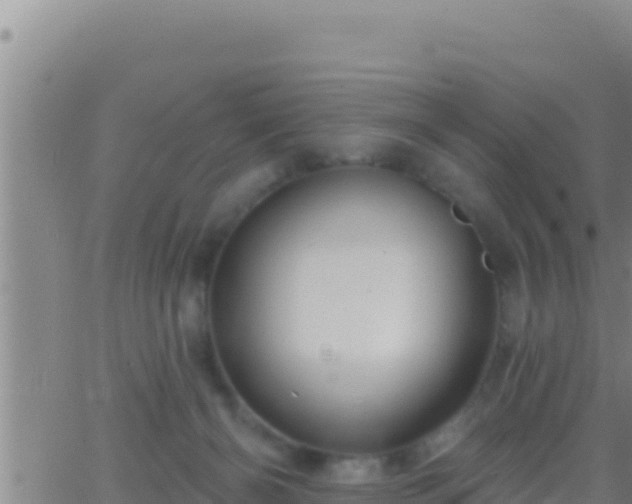 X0000062910126200601201946