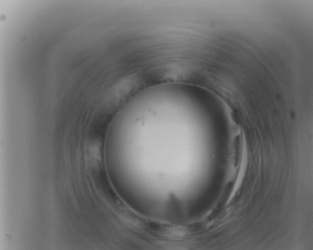 X0000062910127200601201946