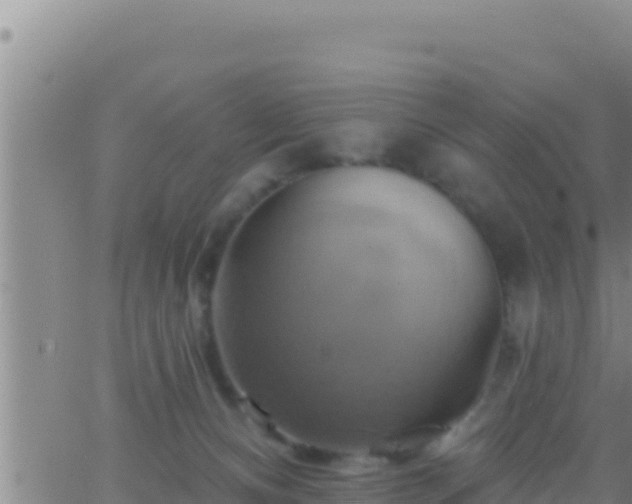 X0000062910128200601201946