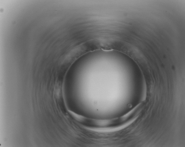 X0000062910129200601201946