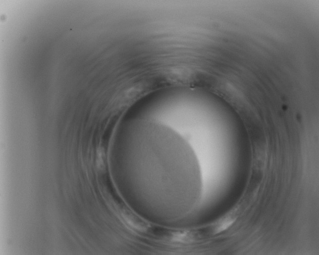 X0000062910130200601201946