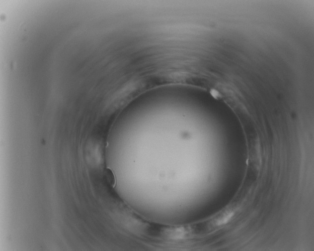 X0000062910131200601201946