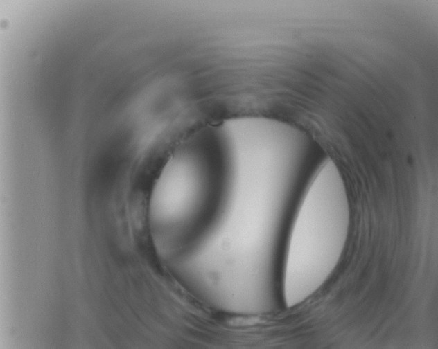 X0000062910133200601201946