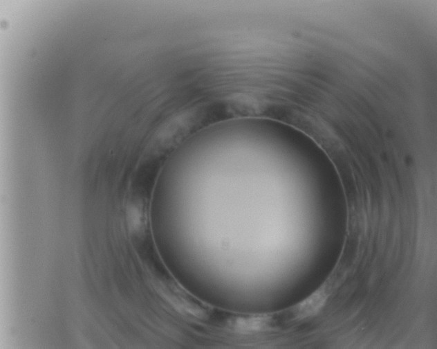 X0000062910134200601201946