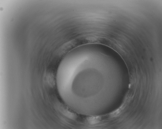 X0000062910136200601201946