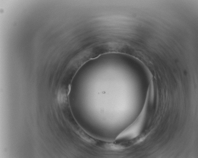 X0000062910137200601201946