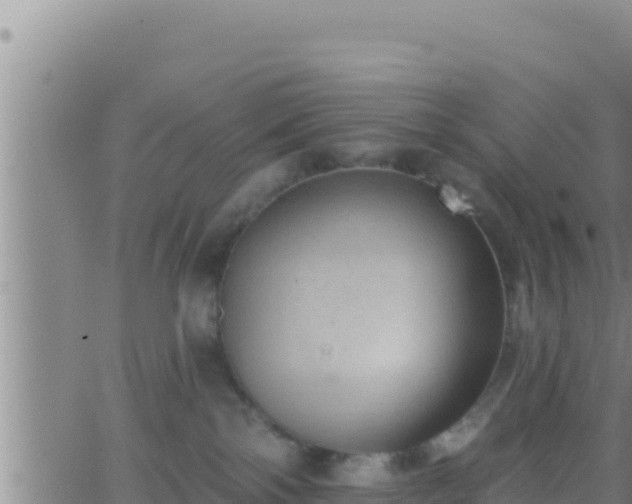 X0000062910138200601201946