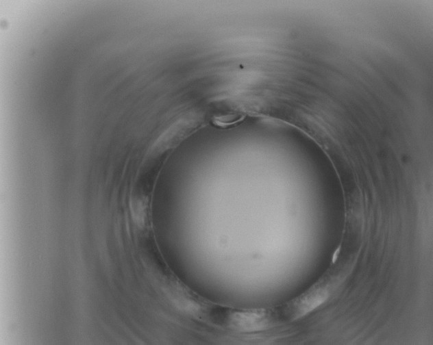 X0000062910139200601201946