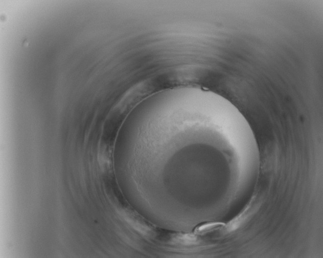 X0000062910140200601201946