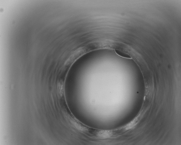 X0000062910142200601201946